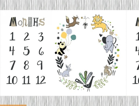 Windham Baby Milestone Panel -  Dream Milestone Mat