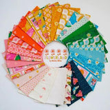 Ruby Star Society - Flowerland - Full Collection Fat Quarter Bundle (29 pieces)
