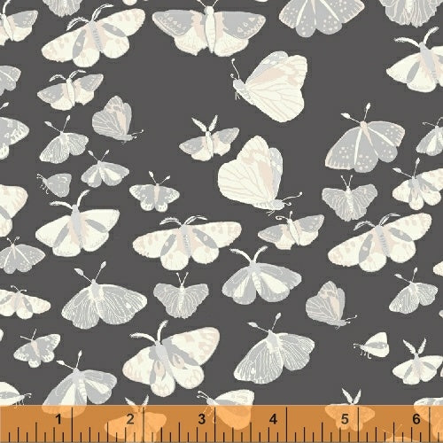 Windham Fabrics - Night Hike by Heather Givans - Dark Grey Night Flight